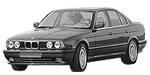 BMW E34 P081A Fault Code